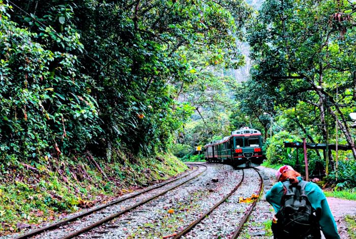 Bus Directo de Hidroeléctrica a Cusco Sólo Retorno